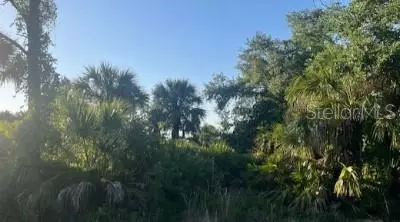315 Cory St, Port Charlotte, FL 33953