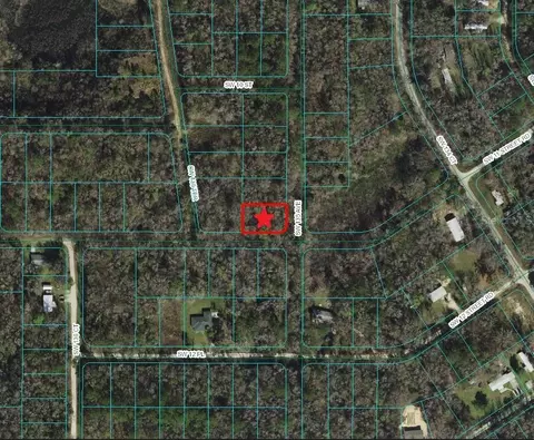 Lot 1 Sw 135th Avenue, Ocala, FL 34481