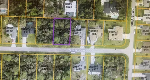 Palisades Avenue, North Port, FL 34287