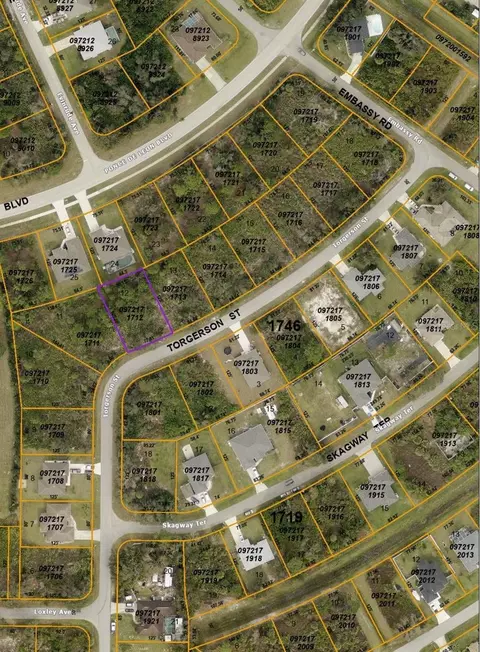Torgerson Lot 12 Street, North Port, FL 34291