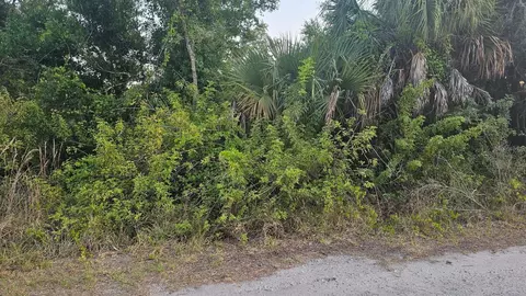 299 Popayan St, Punta Gorda, FL 33983