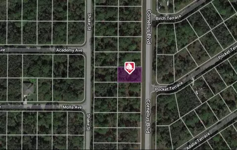 1323 Cornelius Blvd, Port Charlotte, FL 33953