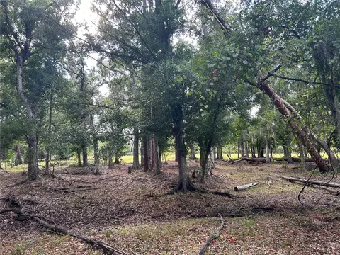 2221 NW Pine Wood Ave, Arcadia, FL 34266