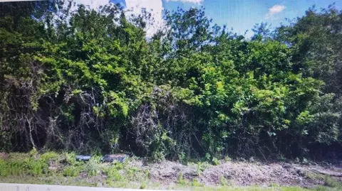 Undisclosed, Port Charlotte, FL 33981