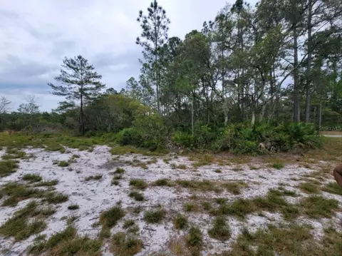 SE Fisher Road, Ocklawaha, FL 32179