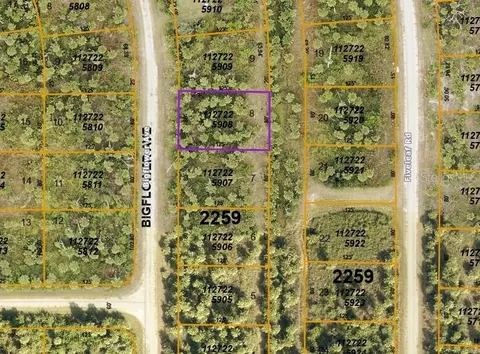 Big Flower Avenue, North Port, FL 34288