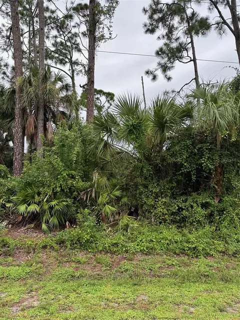 Undisclosed, Port Charlotte, FL 33954