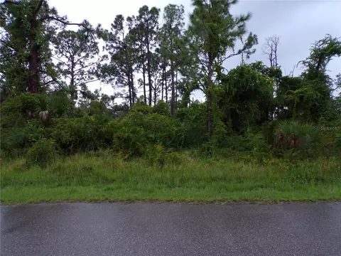 13427 Mary Jo Ave, Port Charlotte, FL 33953