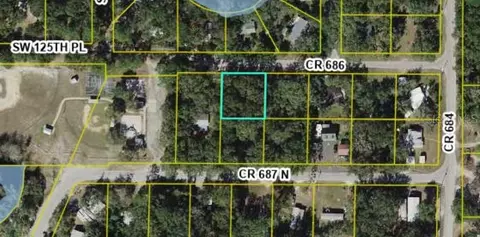 lot Apt 5 Cr 687 N, Webster, FL 33597
