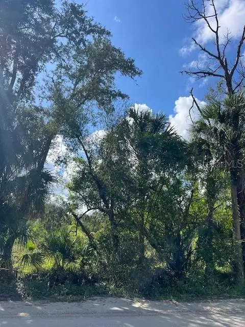 43031 Farabee Rd, Punta Gorda, FL 33982