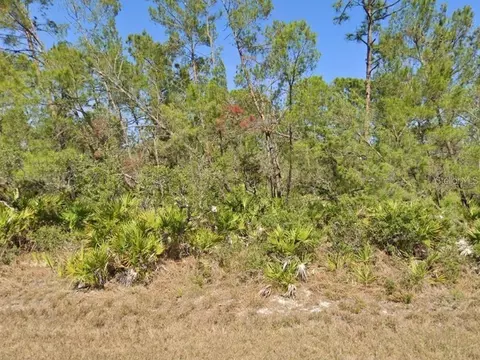 3219 Brooklyn Ave, Lake Placid, FL 33852