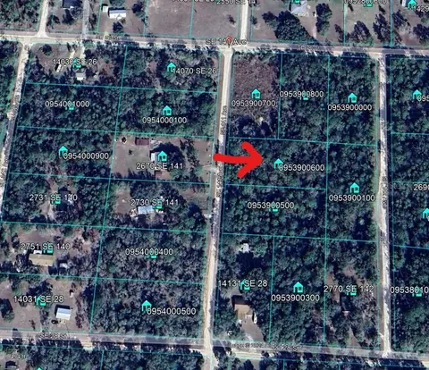 tbd SE 141st Ave, Morriston, FL 32668