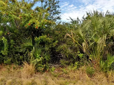 Delk Lot #15 Avenue, North Port, FL 34291