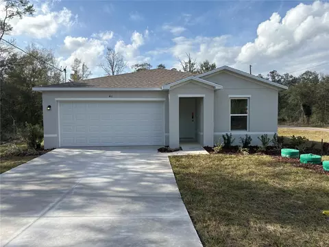 41 Fisher Lane Crse, Ocklawaha, FL 32179