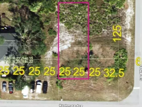 27054 Rushmore Ave, Punta Gorda, FL 33983
