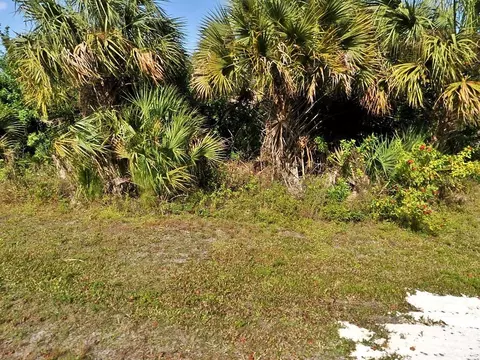 Amnesty Drive, North Port, FL 34288