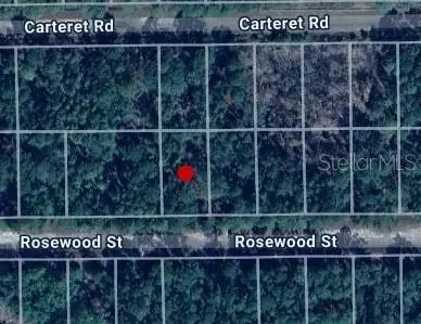 212 Rosewood St, Georgetown, FL 32139