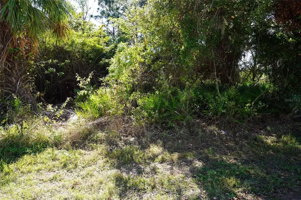  23255 Stelling Ave, Port Charlotte, FL 33980 photo 1