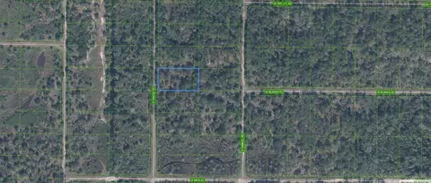 1945 S Griese Rd, Avon Park, FL 33825