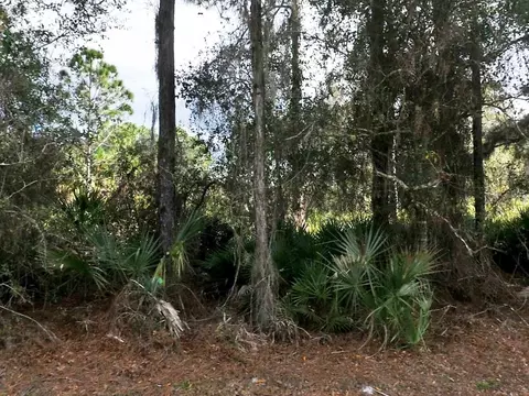 Cascabel Lot #6 Terrace, North Port, FL 34286