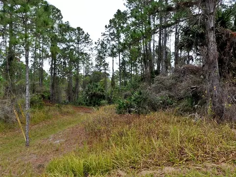 Pinewood Street, North Port, FL 34288