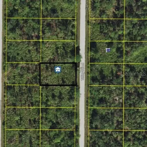 3279 Tiffiny St, Port Charlotte, FL 33980