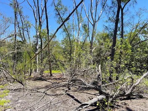 The Island Property Manasota Key, Englewood, FL 34223