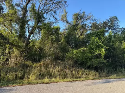 1817 NE Voss Oaks Cir, Arcadia, FL 34266