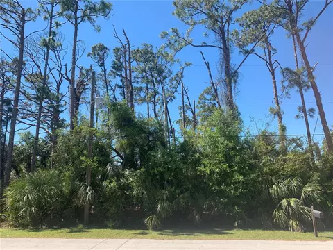 Pincushion, North Port, FL 34286