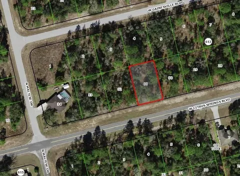 3341 W Citrus Springs Blvd, Citrus Springs, FL 34433