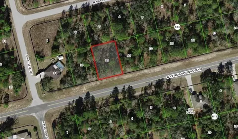 3359 W Citrus Springs Blvd, Citrus Springs, FL 34433