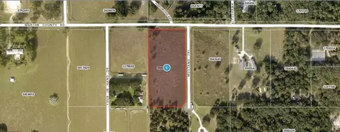 Mustang Trail, Weirsdale, FL 32195