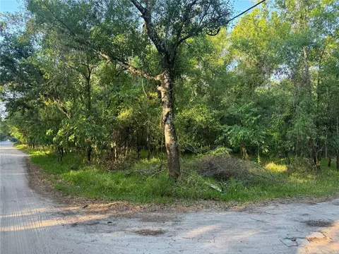 NE River Ridge Avenue, Arcadia, FL 34266