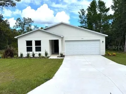 103 Guava Place Dr, Ocklawaha, FL 32179