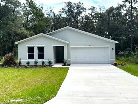 35 Bay Court Pass, Ocklawaha, FL 32179