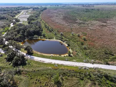 Amber Bell Trail, Lake Placid, FL 33852