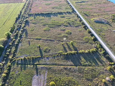Amber Bell Trail, Lake Placid, FL 33852