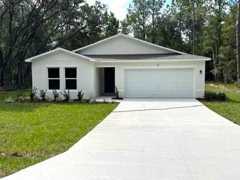 81 Fisher Lane Ct, Ocklawaha, FL 32179