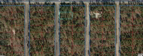 00 SE 131 Ter, Dunnellon, FL 34431