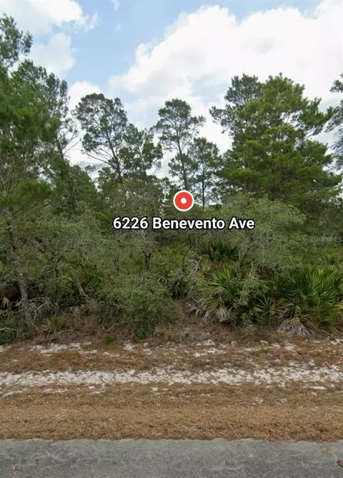 6226 Benevento Ave, Sebring, FL 33872