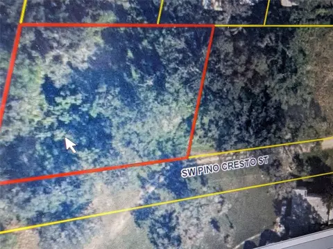 SW Pino Cresto Street, Arcadia, FL 34266