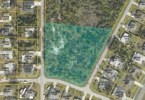 Blitzen Terrace, North Port, FL 34287