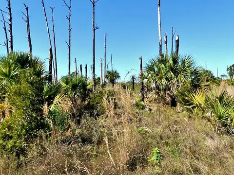 Ewen Lot #17 Circle, North Port, FL 34288