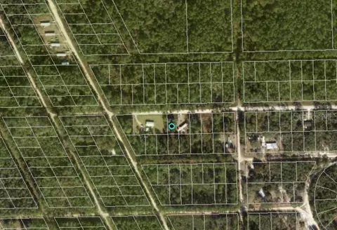 711 Hickory Nut Trl, Satsuma, FL 32189