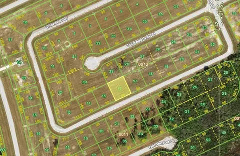 12414 Tripletail Dr, Placida, FL 33946