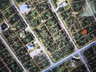 1194 Hammacher Ln, Port Charlotte, FL 33953