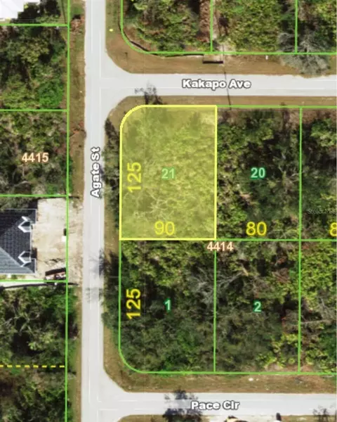 13147 Kakapo Ave, Port Charlotte, FL 33981