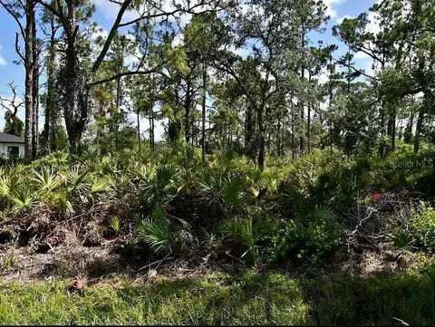 Vespucius Street, North Port, FL 34287