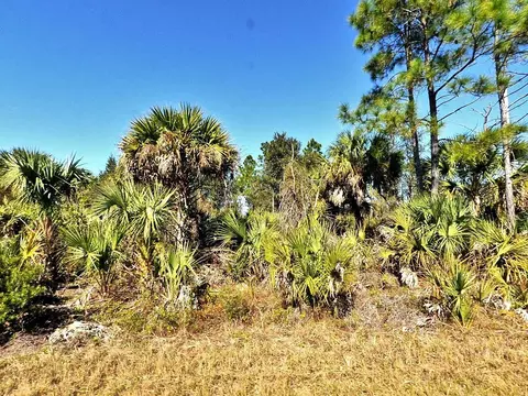Fiveleaf Road, North Port, FL 34288