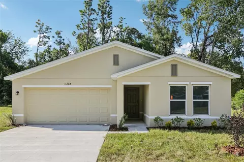11288 Elgin Blvd, Spring Hill, FL 34608